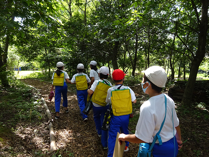 Chino Biotop Forest (Fujioka Plant)